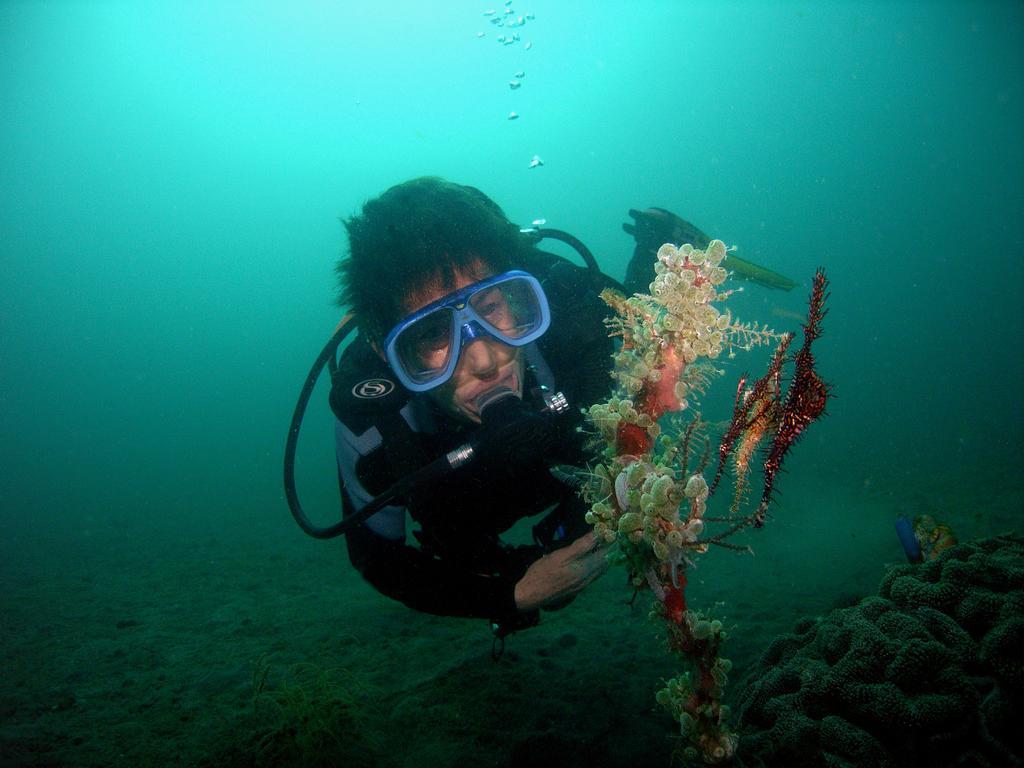Camiguin Volcan Beach Eco Retreat&Dive Resort Mambajao Esterno foto